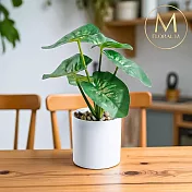 【Floral M】室內桌上型綠天鵝絨海芋仿真綠植