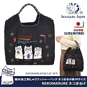 【Kusuguru Japan】日本眼鏡貓 買一送一買就送海綿刷3件組 防潑包 手拿包 斜背包 刺繡尼龍購物袋(多款任選) -防潑刺繡購物袋-F款