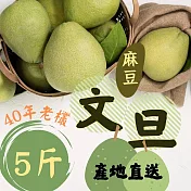【鮮食優多】台南麻豆40年老欉文旦 5斤