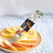 KIYODO絲登麗316不鏽鋼小餐叉-6支