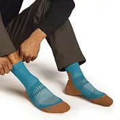 【紐西蘭Icebreaker】男 中筒薄毛圈健行襪(+) S 水藍/棕