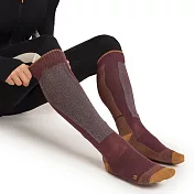 【紐西蘭Icebreaker】男 長筒薄毛圈滑雪襪(+) S 深紅棕/橘/霧綠