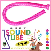 【賽先生科學工廠】共鳴音管(七種顏色隨機出貨)