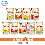 【BABY SECRET 寶寶的秘密】有機米菓袋裝(6M+)x9(口味隨機)