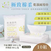 【妍淨】乾濕兩用巾10包(平面100入/包 網格100入/包 珍珠紋80入/包) 平面