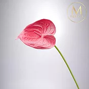 【Floral M】黛安娜心型火鶴甜心粉仿真花花材（2入組）