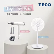 【好涼好美家電】TECO東元 BLDC專業負離子吹風機 XYFXZ003+14吋DC馬達遙控立扇 XA1428BRD