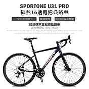 SPORTONE U31 PRO 鋁合金內走線彎把碟煞16速 L-TWOO R3甩把公路車,煞變合一平焊車架（隱藏內走線）競速碟煞彎把破風跑車- 消光黑