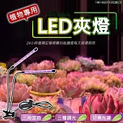 LED可定時植物生長燈(單管 2入組) 單管*2