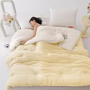 【DUYAN 竹漾】Heat Fi 超柔針織抗菌雲朵棉被(雙人) / 晨光暖陽