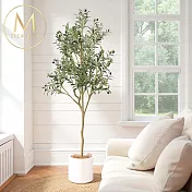 【Floral M】義大利托斯卡納橄欖樹1.8公尺室內大型仿真植栽(贈送花盆)