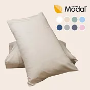 【麗塔寢飾】莫代爾 美式信封枕套組 水藍