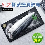 【優鮮配】5L大挪威薄鹽鯖魚20片免運組(250g/片)