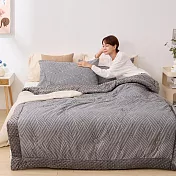 【DUYAN 竹漾】Heat Fi 純棉豆豆絨大豆抗菌冬被 / 150x200cm / 漠旅流沙