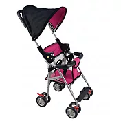 EMC 遮陽輕巧手推車可變座椅(台灣製造) 桃紅