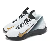 Nike 籃球鞋 G.T. Jump Academy EP 男鞋 白 金 藍 緩震 支撐 IH0635-170 25.5cm WHITE/BLACK