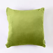 gymterior 健身環抱枕- 綠(AZ-673-GREEN)