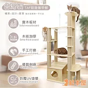 貓本屋 台灣製 雙橢圓太空艙加大貓屋實木貓跳台