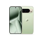 Google Pixel 10 Pro XL 5G 6.8吋 16G/256G/Tensor G5/5000萬鏡頭畫素/AI手機  綠玉色