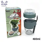 安妮兔 玻璃輕食多用瓶480ml(附匙) P-A078