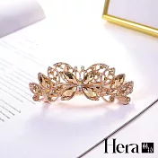 【Hera 赫拉】優雅淑女百搭水鑽髮夾 蝴蝶款