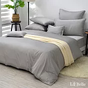 (網路獨家)義大利La Belle《翩翩絮羽-炊煙灰》特大天絲棉四件式被套床包組