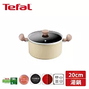 法國特福 Daisy系列20CM不沾雙耳湯鍋加蓋 H0494424