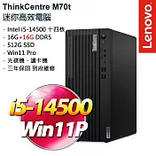 ★記憶體升級★Lenovo ThinkCentre M70t Gen 5 商用桌上型電腦 (i5-14500/16G+16G/512G/W11P/3年保)
