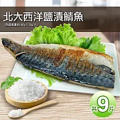 【優鮮配】油質豐厚挪威薄鹽鯖魚9片免運組(180g/片) 免運組