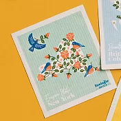 《danica》Ecologie瑞典環保抹布 - 紐約20cm