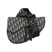 DIOR Saddle Oblique 斜背馬鞍包款_展示品 (藍色)