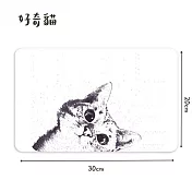 【i LIFE 】北歐風硅藻土吸水置物墊(30×20cm/2入) 好奇貓*2