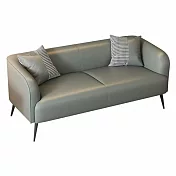 IDEA-經典小戶耐磨貓抓皮雙人沙發/四色可選 淺灰色