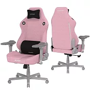 DXRACER 電競賽車椅 利刃 (6D扶手/布面粉紅色)