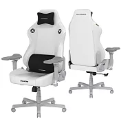 DXRACER 電競賽車椅 利刃 (6D扶手/皮面白色)