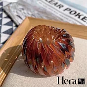 【Hera 赫拉】百變鳥巢盤髮神器 HOI1 深咖色
