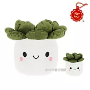 英國 Keel Toys 12cm 玉露盆栽 Plant Bobballs Haworthia Cooperi