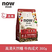 Now! 中型成犬牛肉配方 300克 高湯天然糧 | 乾濕兩吃 火雞高湯 中型犬 犬糧 狗糧 WDJ
