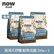 Now! 成貓鮭魚配方 300克 三件組 高湯天然糧 | 乾濕兩吃 火雞高湯 貓飼料 貓糧 WDJ