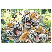 猛虎拍貼 260片 Anatolian拼圖