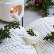 【The Forest 癒森林】期間限定-手工香氛融蠟塊4入組- 耶誕燭光雪屋