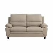 IDEA-洛亞飽滿質感高背貓抓皮雙人沙發