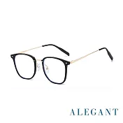 【ALEGANT】輕奢風格TR90輕量拼接方框金屬鏡腳UV400濾藍光眼鏡 柔金影