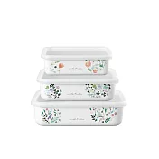 【FUJIHORO 富士琺瑯】官方直營  琺瑯烘焙保鮮淺型(附蓋)3件組(740ml+1350ml+1930ml) 安娜艾米利亞