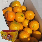 【褚譽合作社】砂糖橘禮盒(3台斤/盒) 	7個工作天內出貨