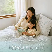 【AGAPE雅家倍】MIT台灣製 多款花色任選 舒柔棉 加大6x6.2尺薄床包三件組 竹清