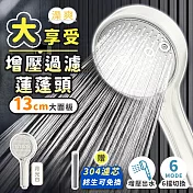 澡爽 大享受增壓過濾蓮蓬頭 附304不鏽鋼濾芯x1 過濾蓮蓬頭 加壓蓮蓬頭 不鏽鋼蓮蓬頭 省水 按摩蓮蓬頭 增壓蓮蓬頭 浴室蓮蓬頭 無 月光白