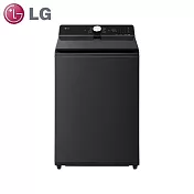 LG樂金16公斤AIDD直驅變頻直立式洗衣機WT-TD16OB(瑪瑙黑)