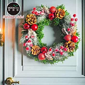 摩達客10吋冬雪系小紅莓刷白松果質感聖誕花圈福臨圈_台灣工藝免組裝