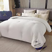 【Hilton希爾頓】蠶絲被四季春秋被芯1.5kg 單人空調夏被(棉被/被子/蠶絲被/四季被) 白色單人被-150*200cm